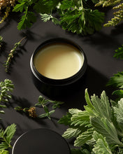 Load image into Gallery viewer, Desert Salve -  Ultrasoothing Skin Balm for Eczema, Psoriasis, Dermatitis, Skin Inflammation, Burns, Boils, and Skin Irritations, 8 Powerful Wound-Healing Herbs and Botanical Extracts