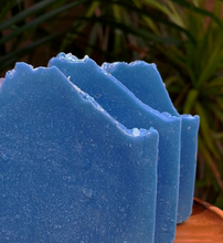 Load image into Gallery viewer, DEL MAR Body Bar -  White Clay + Colima Seasalt