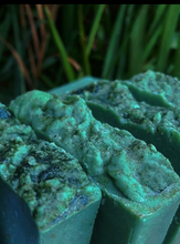 Load image into Gallery viewer, SEA GRASS Body Bar -  Marine Algae + Sea Salt